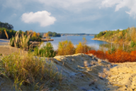 Ein ruhiger See umgeben von buntem Laubwald und Sanddünen. Im Vordergrund wachsen hohe Gräser und Sträucher. Die Landschaft zeigt sanfte Hügel, während im Hintergrund Bäume in den Farben des Herbstes leuchten. Der Himmel ist bewölkt, mit vereinzelten Wolken.
