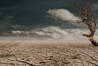 Eine trockene und rissige Erdoberfläche erstreckt sich bis zum Horizont. Ein einzelner, toter Baum steht einsam in der Landschaft unter einem bewölkten Himmel. Die Szene vermittelt ein Gefühl der Trostlosigkeit und den Einfluss von Dürre.