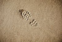 Auf einem hellen Sandboden sind mehrere Schuhabdrücke sichtbar. Die Abdrücke zeigen ein Muster mit Wellenlinien und Vertiefungen. Sie deuten darauf hin, dass jemand auf dem Sand gelaufen ist, möglicherweise an einem Strand oder in einer anderen sandigen Umgebung.
