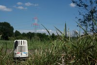 Ein Thermostat steht im hohen Gras auf einem Feld. Im Hintergrund sind Strommasten und blauer Himmel mit wenigen Wolken sichtbar. Die Umgebung ist grün und ländlich.