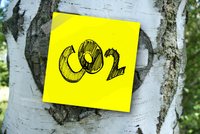 Ein gelbes Blatt mit der handschriftlichen Aufschrift "CO2" klebt an einem Baumstamm. Der Baum hat eine helle Rinde und ist von grünen Blättern umgeben. Das Bild vermittelt das Thema CO2-Emissionen und den Klimawandel.