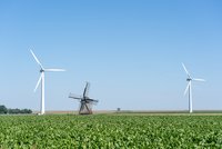 Ein weitläufiges Feld mit grünen Pflanzen im Vordergrund. Im Hintergrund stehen zwei moderne Windkraftanlagen links und eine traditionelle Windmühle rechts davor. Der Himmel ist klar und blau, was eine sonnige Atmosphäre vermittelt.