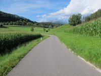 Ein gewundener asphaltierter Weg führt durch eine grüne Landschaft mit Wiesen und Feldern. Im Hintergrund sind sanfte Hügel und Bergen unter einem blauen Himmel mit einigen weißen Wolken sichtbar. Die Umgebung strahlt Ruhe und natürliche Schönheit aus.