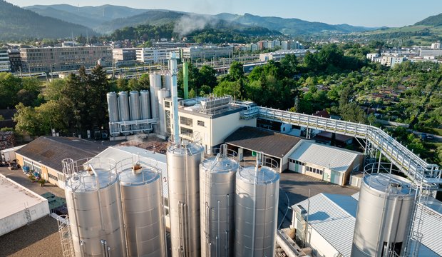 Vorschau von Schwarzwaldmilch liefert Wärme fürs Fernwärmenetz in Freiburg